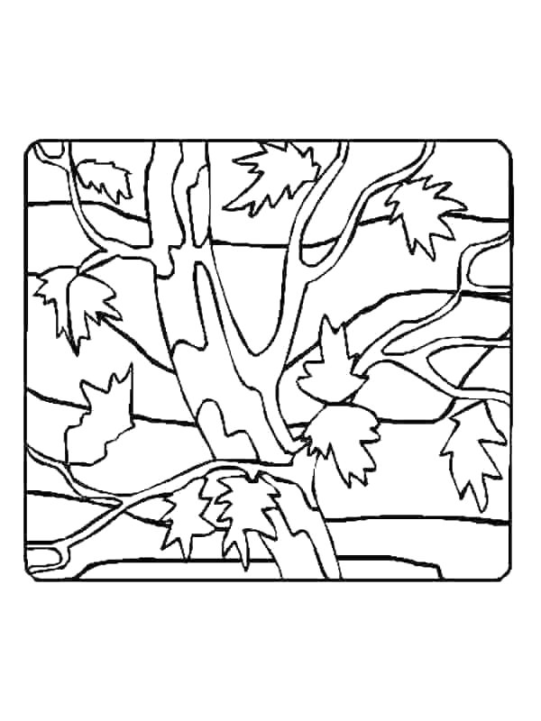 Plansa de colorat cu Frunze 39 33